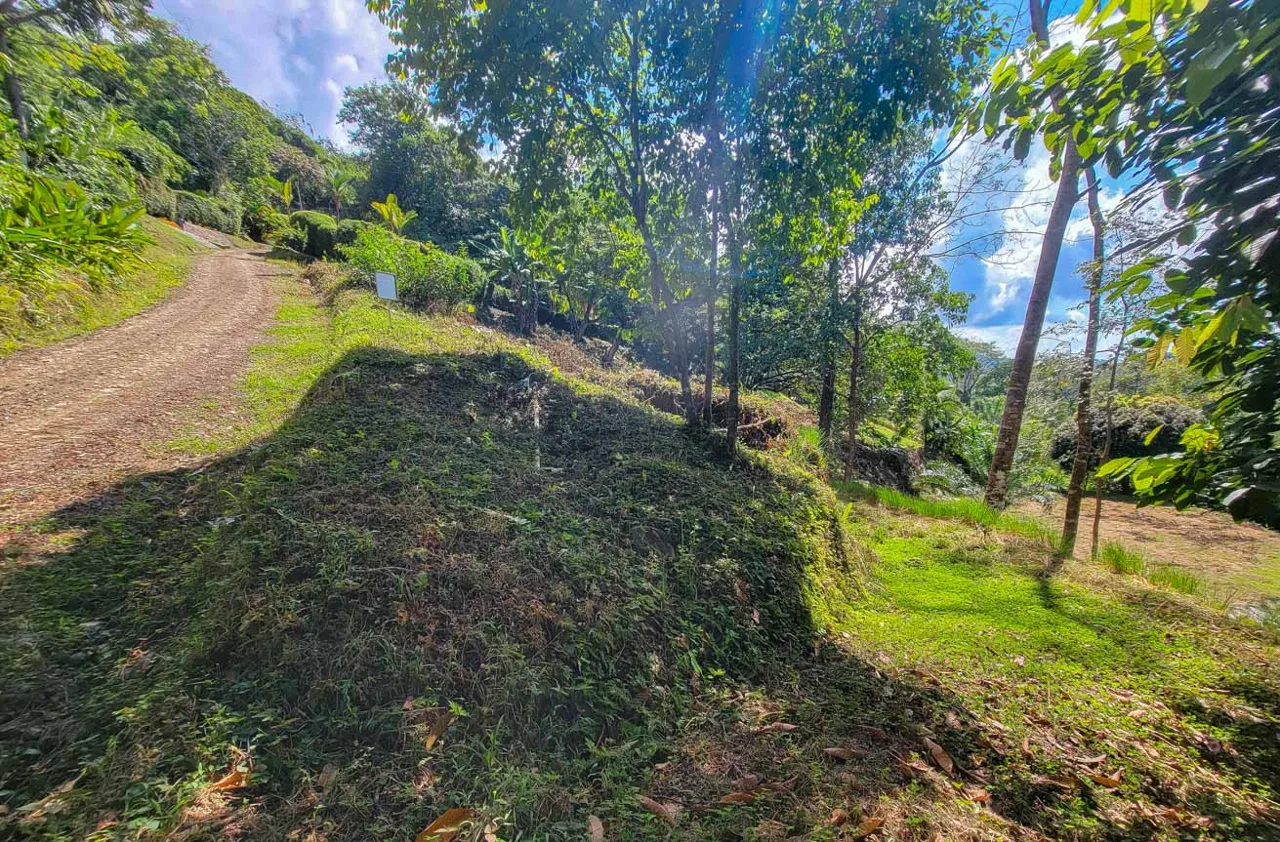 BUILDING PROPERTY WITH PANORAMIC VIEWS OF THE OCEAN AND VALLEY, IN UVITA – 1.4 ACRES, photo 9