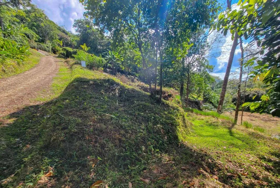 BUILDING PROPERTY WITH PANORAMIC VIEWS OF THE OCEAN AND VALLEY, IN UVITA – 1.4 ACRES, photo 10