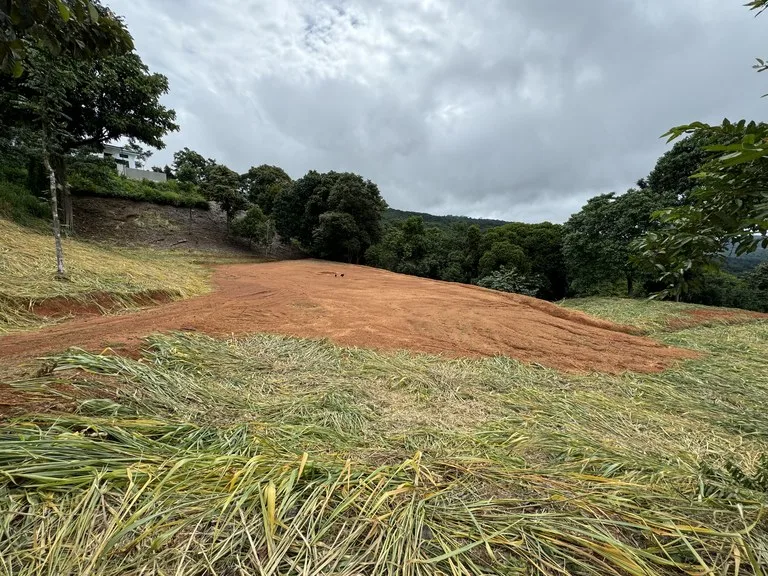 Playa Dominical Mountain Farming Property, photo 2