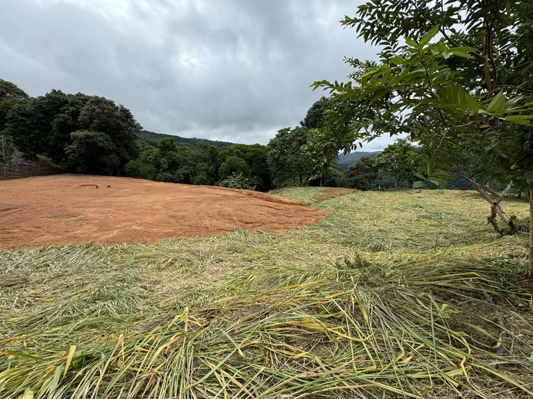 Playa Dominical Mountain Farming Property, photo 3