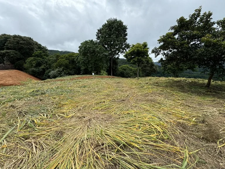 Playa Dominical Mountain Farming Property, photo 4