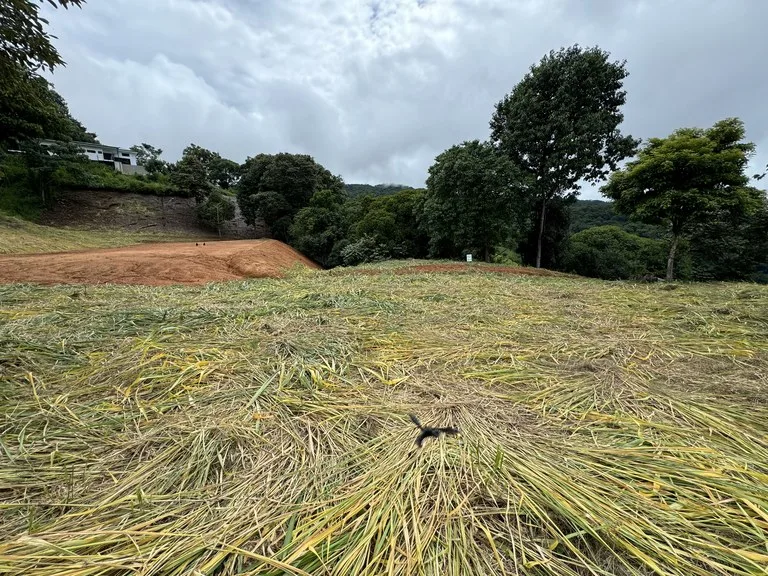 Playa Dominical Mountain Farming Property, photo 6