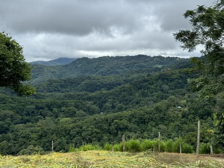 Playa Dominical Mountain Farming Property, photo 7