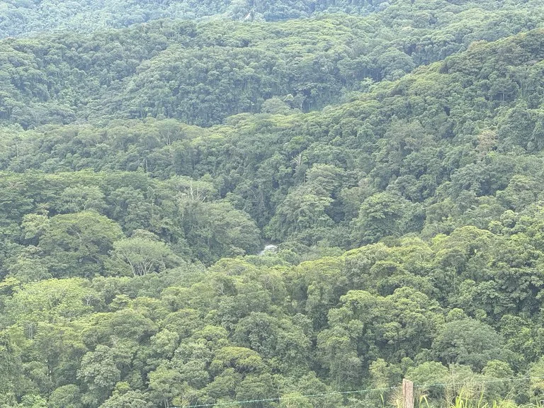 Playa Dominical Mountain Farming Property, photo 8