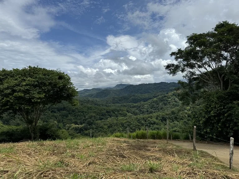 Playa Dominical Mountain Farming Property, photo 9