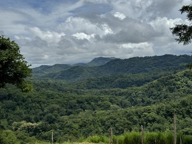 Playa Dominical Mountain Farming Property, photo 10