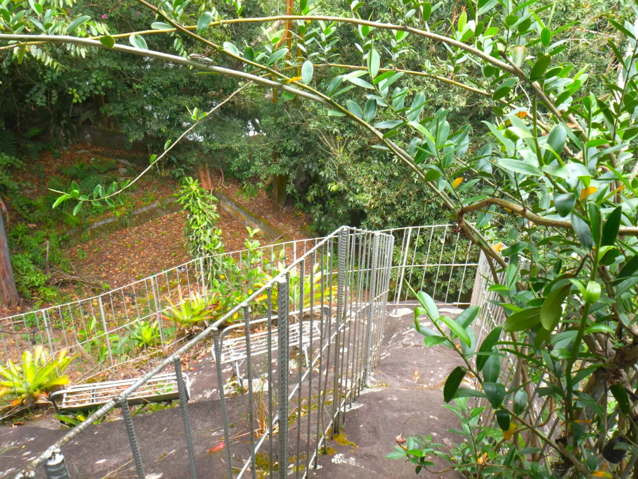 Business Transfer - Organic Restaurant and Store with 3 Acres in San Gerardo de Rivas, Pérez Zeledón, photo 11