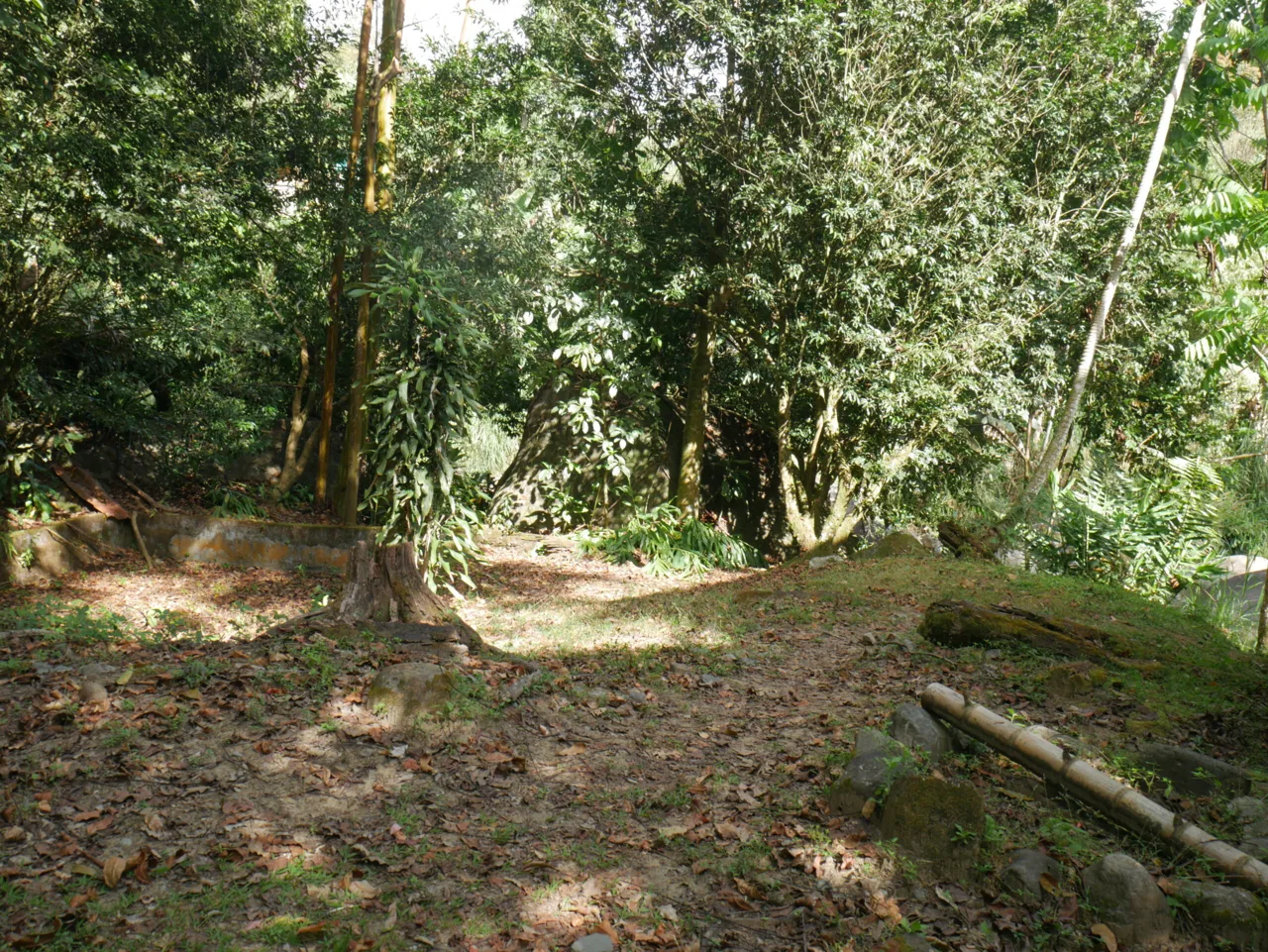 Business Transfer - Organic Restaurant and Store with 3 Acres in San Gerardo de Rivas, Pérez Zeledón, photo 9