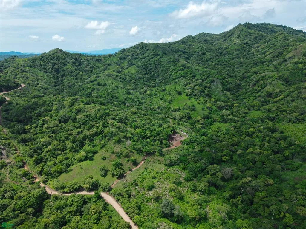 Potrero Finca Tempate Guanacaste