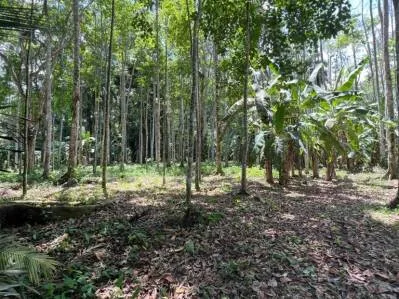 Venta de Terreno de Primera en Playa Negra, Hone Creek / Puerto Viejo