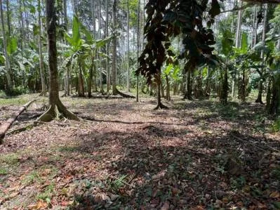 Venta de Terreno de Primera en Playa Negra, Hone Creek / Puerto Viejo, photo 2