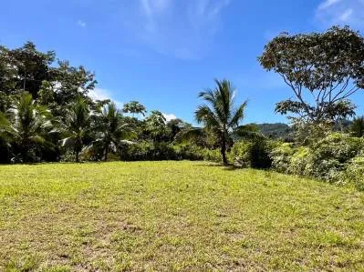 Excepcional lote grande para múltiples edificaciones en Tres Ríos, photo 2