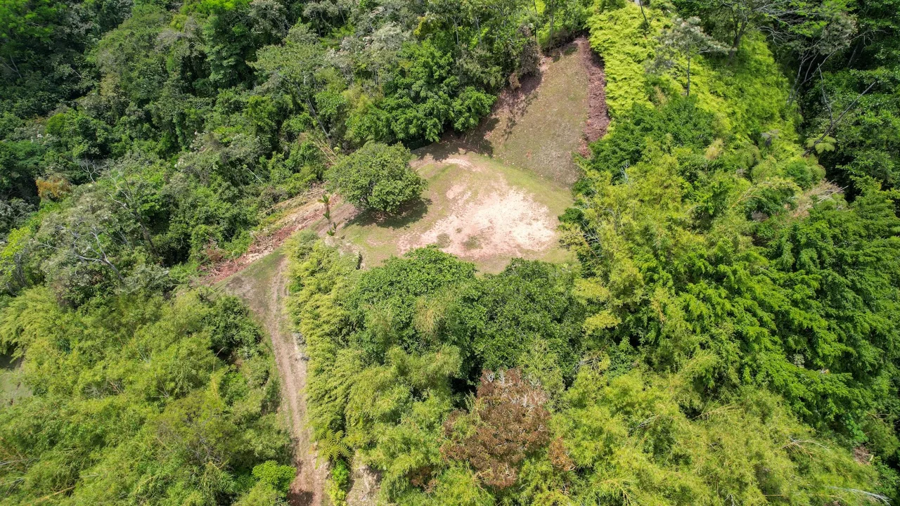 BUILDING PROPERTY WITH OCEAN VIEWS, NEAR TO THE WATERFALL, IN UVITA – 1.93 ACRES, photo 11
