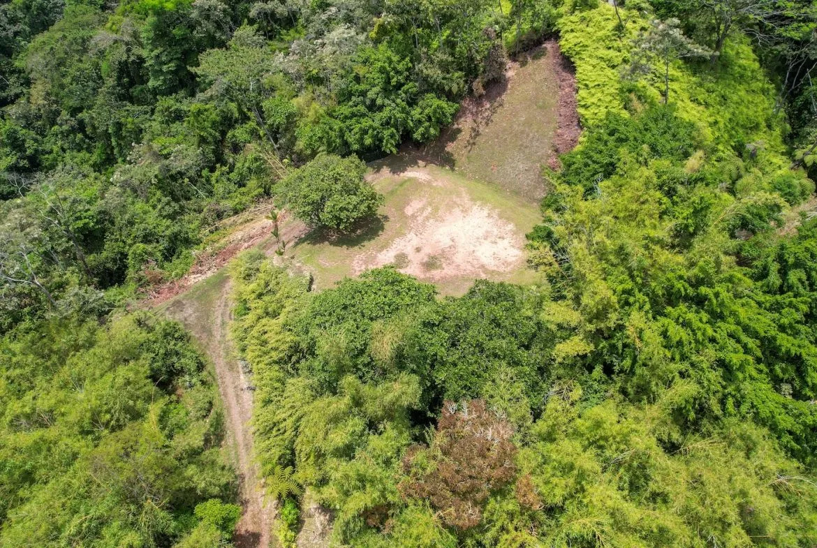 BUILDING PROPERTY WITH OCEAN VIEWS, NEAR TO THE WATERFALL, IN UVITA – 1.93 ACRES, photo 12
