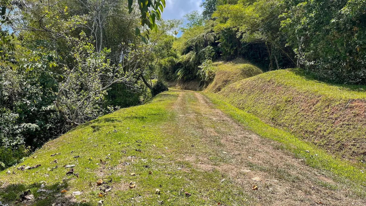 BUILDING PROPERTY WITH OCEAN VIEWS, NEAR TO THE WATERFALL, IN UVITA – 1.93 ACRES, photo 13