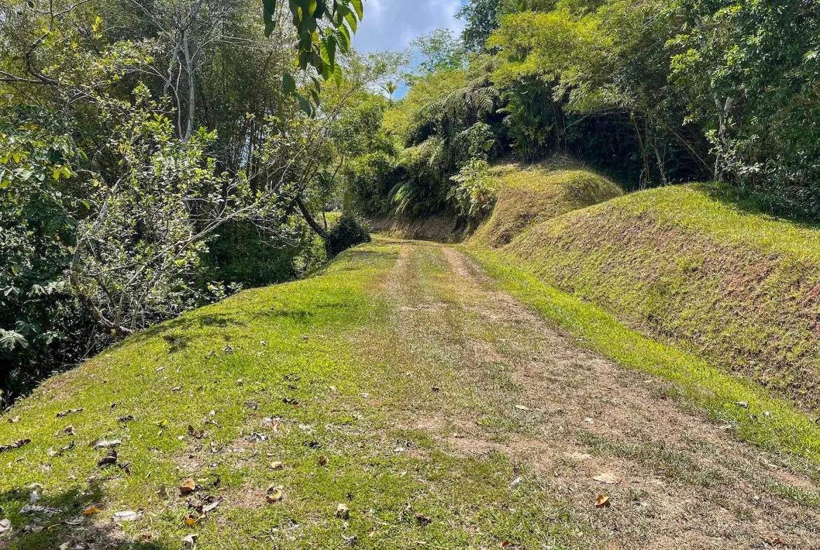 BUILDING PROPERTY WITH OCEAN VIEWS, NEAR TO THE WATERFALL, IN UVITA – 1.93 ACRES, photo 14