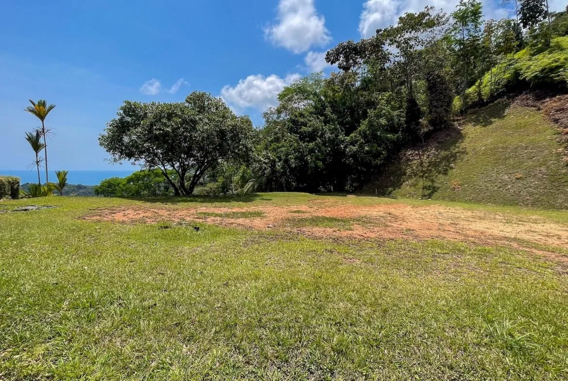 BUILDING PROPERTY WITH OCEAN VIEWS, NEAR TO THE WATERFALL, IN UVITA – 1.93 ACRES, photo 18