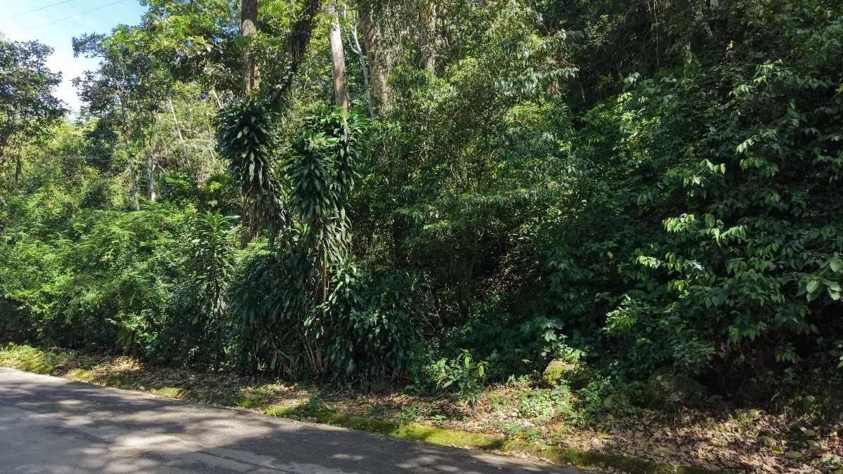 VENTA DE LOTE RESIDENCIAL Y TURISTICO DE 3.892 M2 EN SAN FRANCISCO DE RIVAS, PEREZ ZELEDON - Venta en Pérez Zeledón