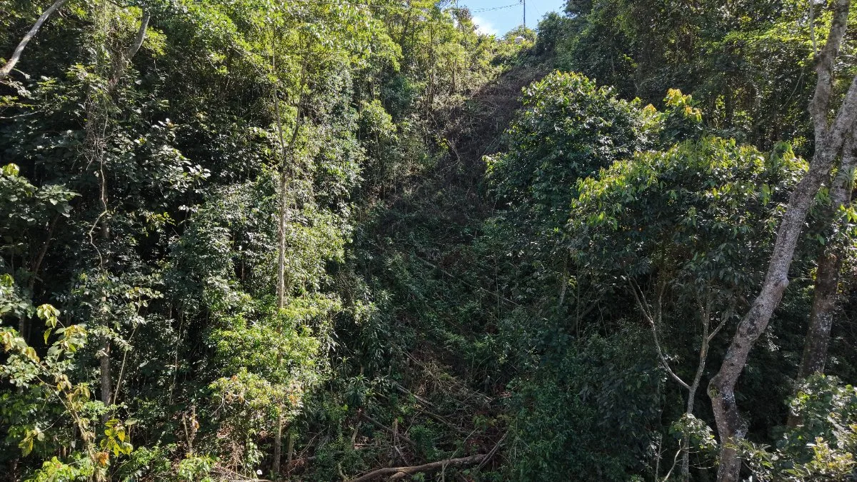 VENTA DE LOTE RESIDENCIAL Y TURISTICO DE 3.892 M2 EN SAN FRANCISCO DE RIVAS, PEREZ ZELEDON - Venta en Pérez Zeledón, photo 5