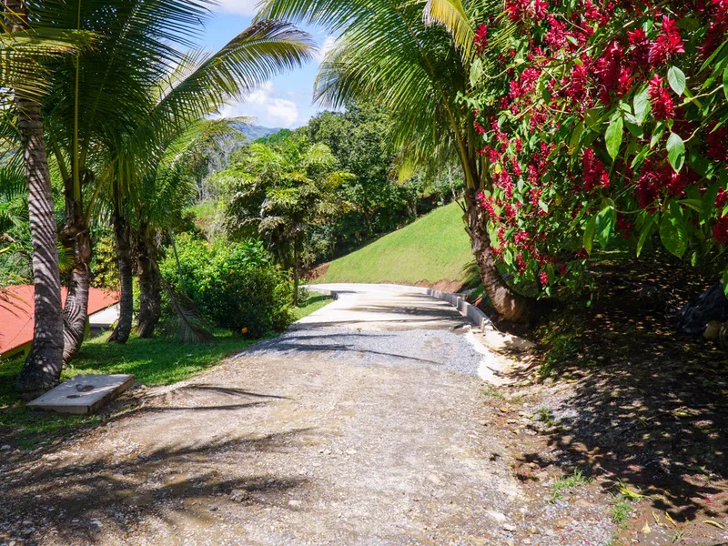 3 Bed Single Family Homes For Sale in Perez Zeledon, photo 6
