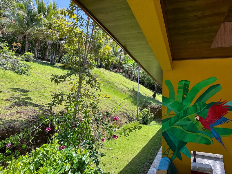 3 Bed Single Family Homes For Sale in Perez Zeledon, photo 7