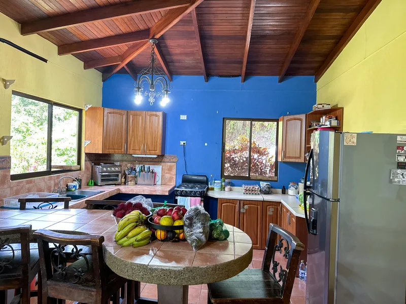 3 Bed Single Family Homes For Sale in Perez Zeledon, photo 10