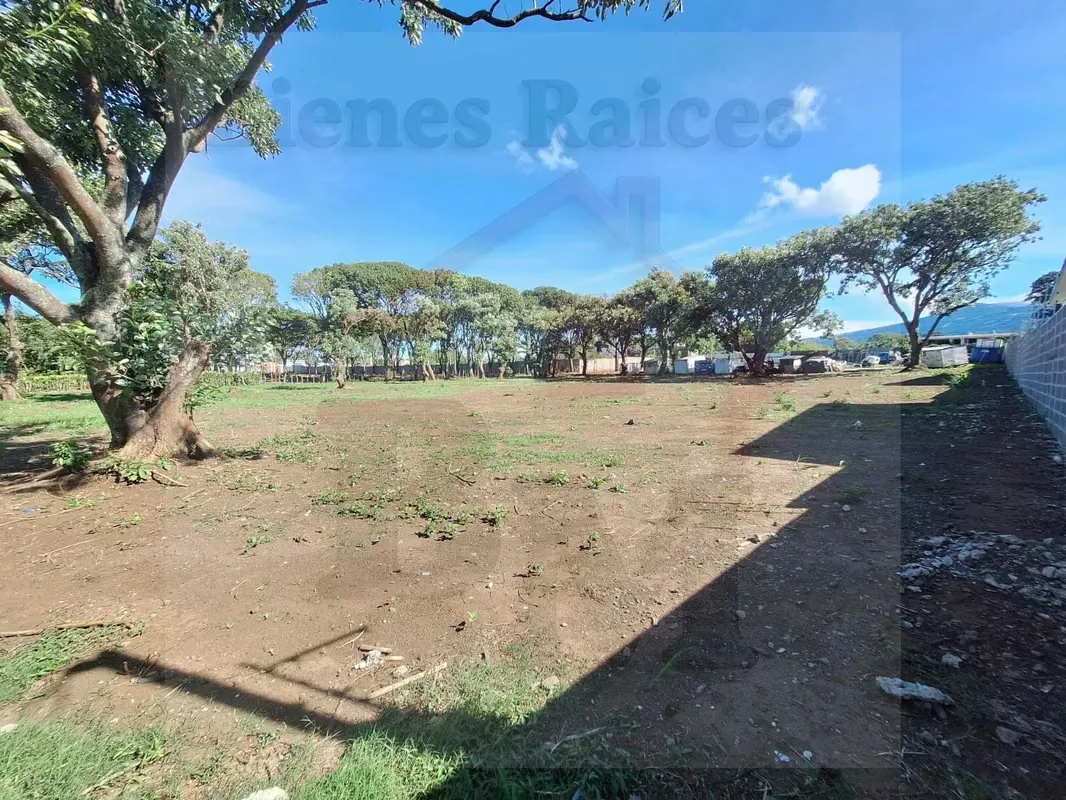 Se Venden Lotes en San Roque de Barva (Se puede construir Apartamentos), photo 4
