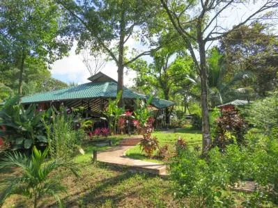 3 Cabins, A restaurant, A 3 Bed House And Multiple Plantels In The Heart Of Ojochal, photo 2