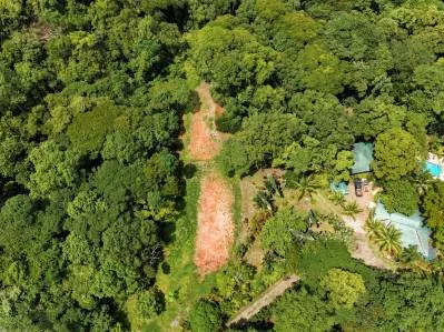 3 Cabins, A restaurant, A 3 Bed House And Multiple Plantels In The Heart Of Ojochal, photo 4