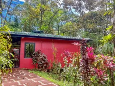 3 Cabins, A restaurant, A 3 Bed House And Multiple Plantels In The Heart Of Ojochal, photo 7