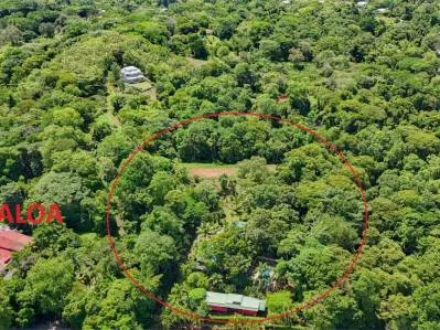 3 Cabins, A restaurant, A 3 Bed House And Multiple Plantels In The Heart Of Ojochal, photo 9