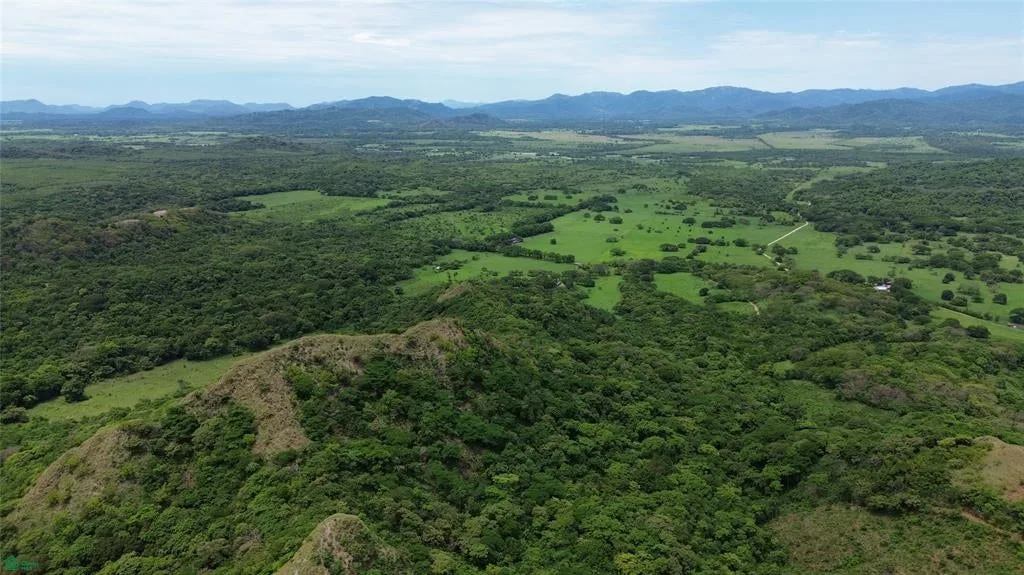 Coyolito Belen Guanacaste