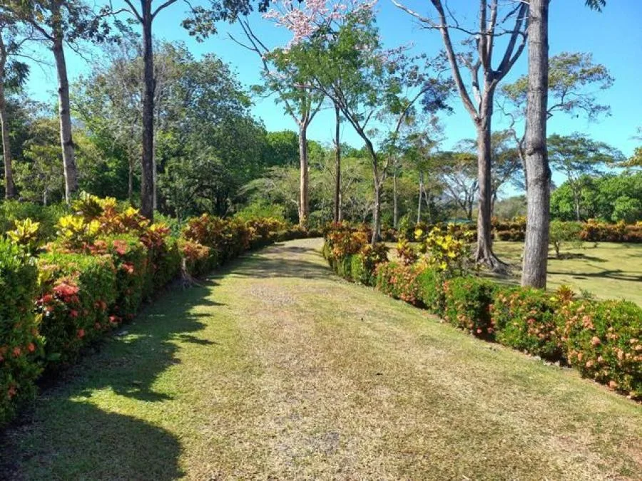Venta de terreno en San Pedro Turrubares - Venta en Turrubares
