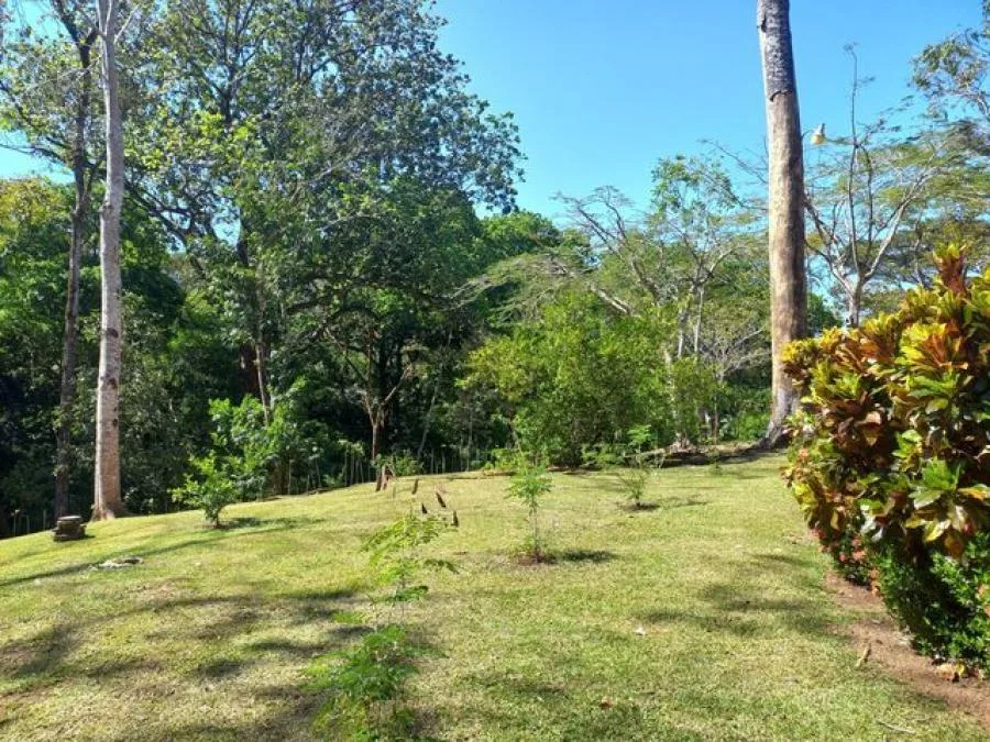 Venta de terreno en San Pedro Turrubares - Venta en Turrubares, photo 8
