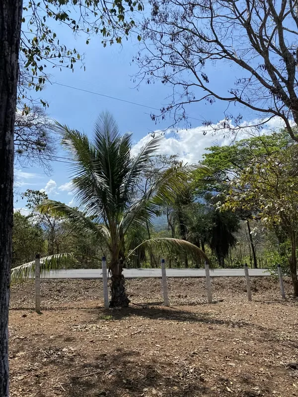This lot is located in the Turrubares canton, has 1405 m² of property, more than 30 m of frontage on a public road, has water and electricity service, the road is in perfect condition, ..., photo 2