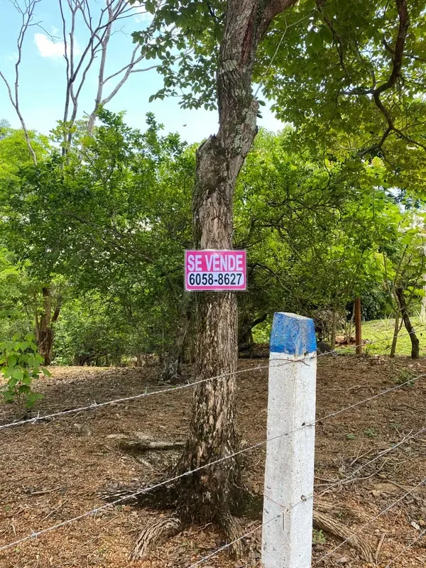 This lot is located in the Turrubares canton, has 1405 m² of property, more than 30 m of frontage on a public road, has water and electricity service, the road is in perfect condition, ..., photo 12