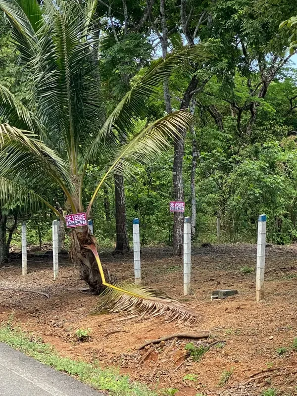 This lot is located in the Turrubares canton, has 1405 m² of property, more than 30 m of frontage on a public road, has water and electricity service, the road is in perfect condition, ..., photo 15