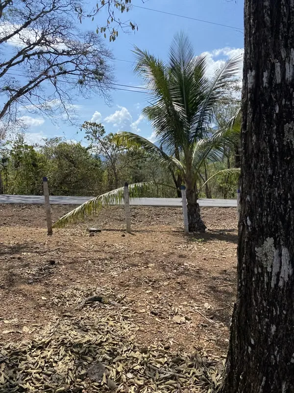 This lot is located in the Turrubares canton, has 1405 m² of property, more than 30 m of frontage on a public road, has water and electricity service, the road is in perfect condition, ..., photo 3