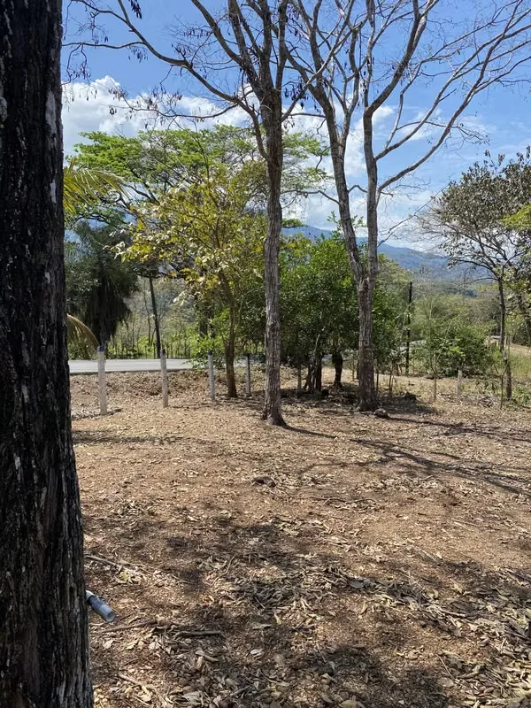 This lot is located in the Turrubares canton, has 1405 m² of property, more than 30 m of frontage on a public road, has water and electricity service, the road is in perfect condition, ..., photo 5