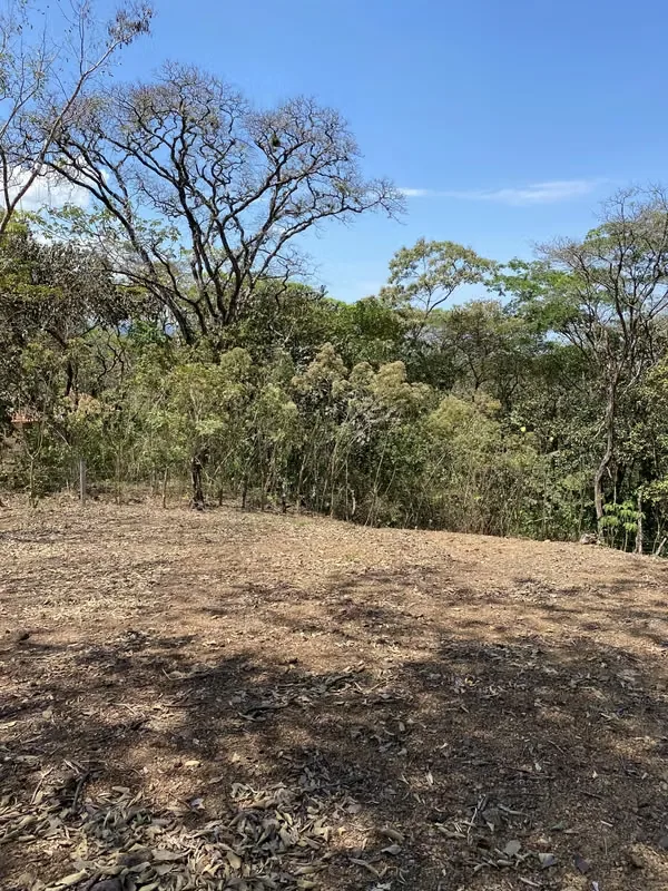 This lot is located in the Turrubares canton, has 1405 m² of property, more than 30 m of frontage on a public road, has water and electricity service, the road is in perfect condition, ..., photo 6