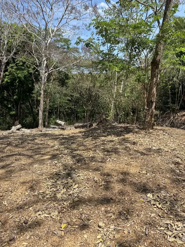 This lot is located in the Turrubares canton, has 1405 m² of property, more than 30 m of frontage on a public road, has water and electricity service, the road is in perfect condition, ..., photo 8