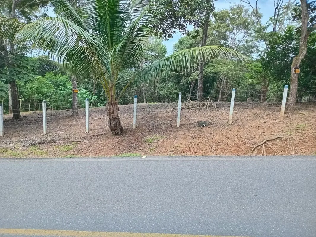 This lot is located in the Turrubares canton, has 1405 m² of property, more than 30 m of frontage on a public road, has water and electricity service, the road is in perfect condition, ..., photo 9