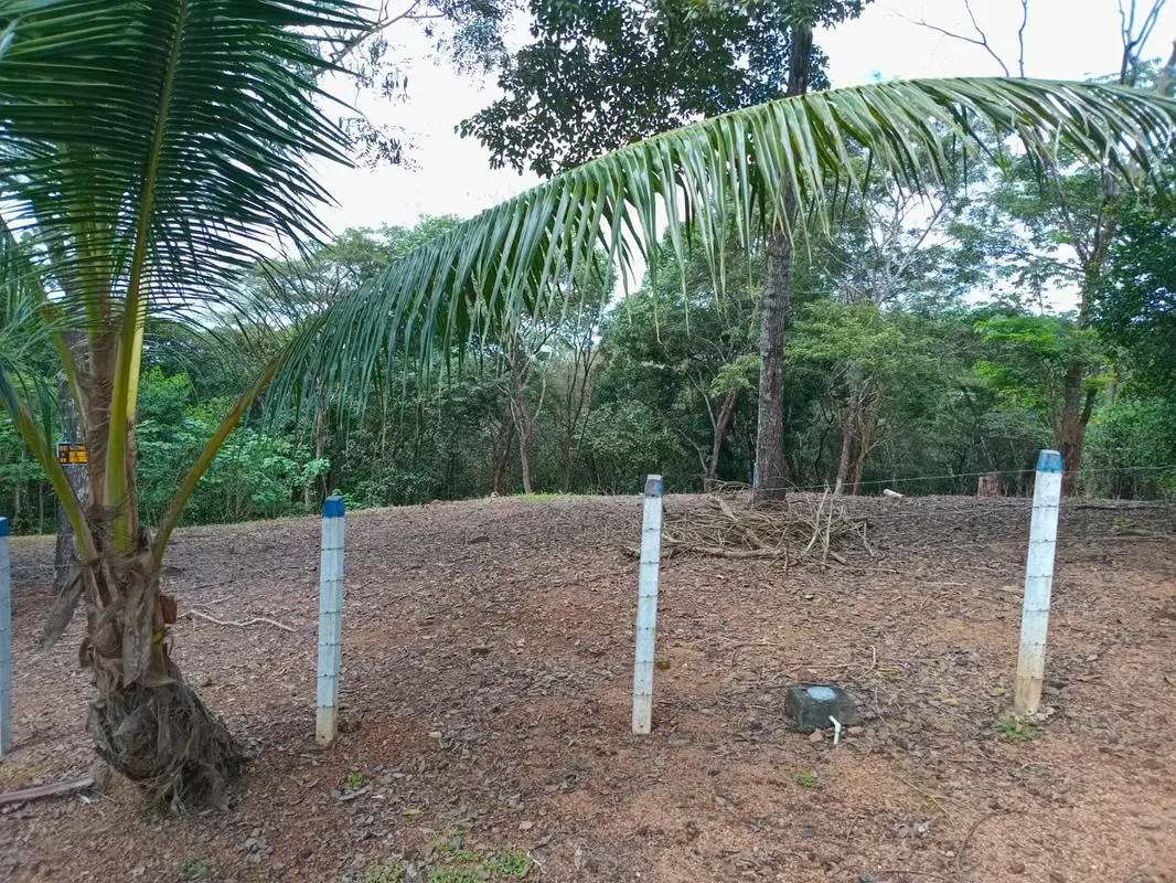 This lot is located in the Turrubares canton, has 1405 m² of property, more than 30 m of frontage on a public road, has water and electricity service, the road is in perfect condition, ..., photo 10