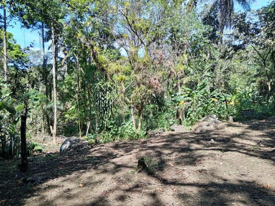 Venta de Lote en Mora-Tabarcia, San José. RAH 26-752 - Venta en Mora