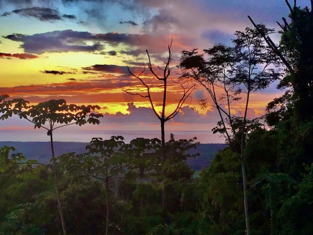 PANORAMIC COASTAL LUXURY HOME WITH OCEAN VIEWS TO DRAKE BAY AND CANO ISLAND – 0.67 ACRES, photo 5