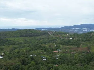 84 acres con vista al mar y a la montaña, photo 9