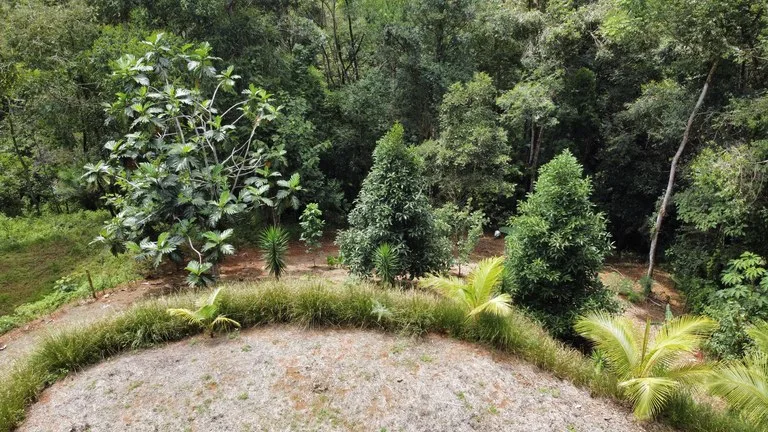 HALF ACRE LOT IN PLATANILLO, MINUTES TO THE BEACH OF DOMINICAL, photo 4