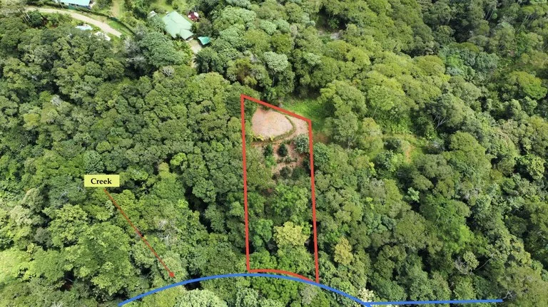 HALF ACRE LOT IN PLATANILLO, MINUTES TO THE BEACH OF DOMINICAL, photo 7