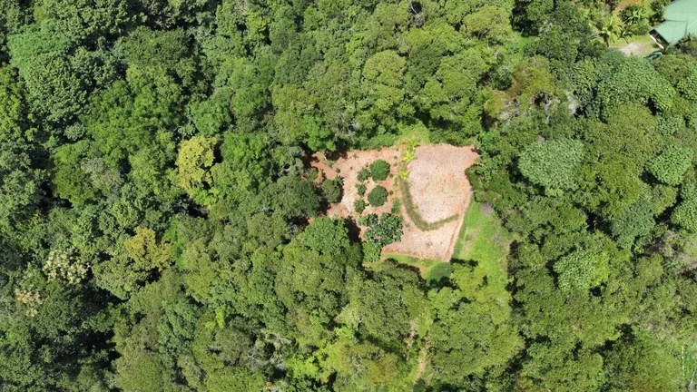 HALF ACRE LOT IN PLATANILLO, MINUTES TO THE BEACH OF DOMINICAL, photo 8