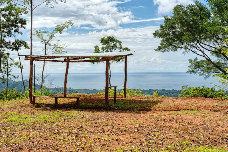 Ocean View Property with Waterfall – 7.87 Acres